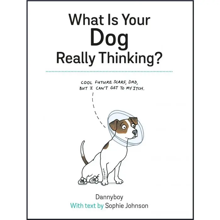 What Is Your Dog Really Thinking What Is Your Dog Really Thinking