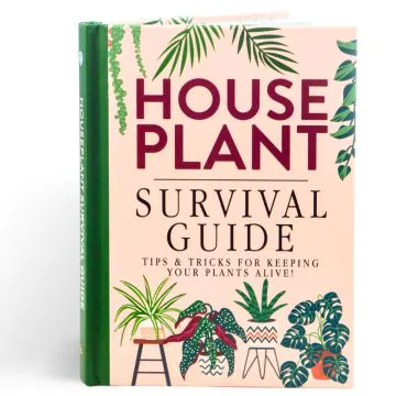 Houseplant Survival Guide