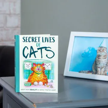 The Secret Lives of Cats 