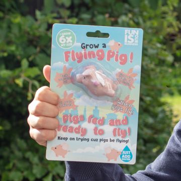 Grow Your Own Flying Pig