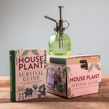 Houseplant Survival Set 