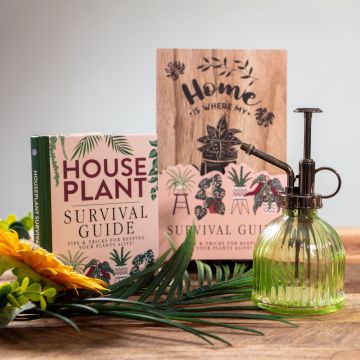 Houseplant Survival Set 