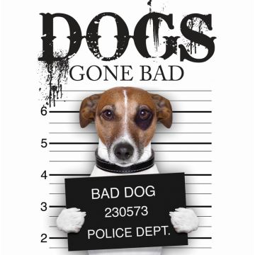 Dogs Gone Bad