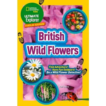 British Wild Flowers