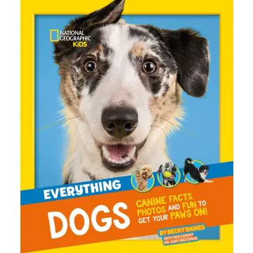 Everything Dogs