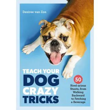 Teach Your Dog Crazy Tricks