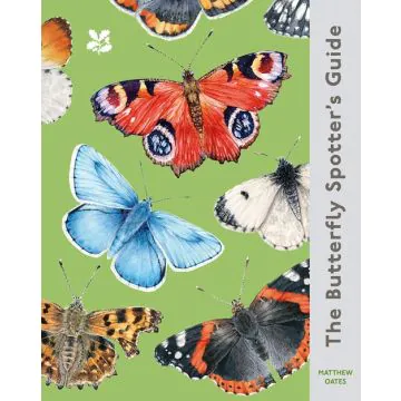 The Butterfly Spotter’s Guide