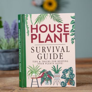Houseplant Survival Guide