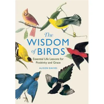 The Wisdom of Birds