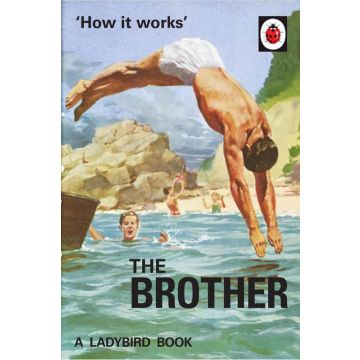 The Ladybird Book Of The Brother