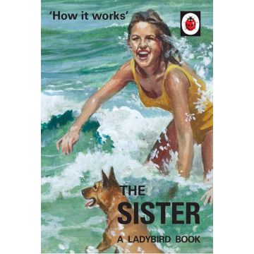 The Ladybird Book Of The Sister