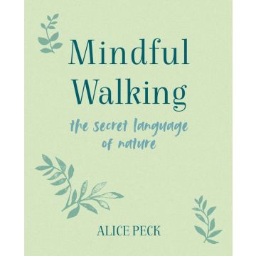 Mindful Walking