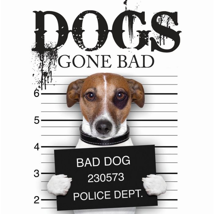 Dogs Gone Bad main product photo