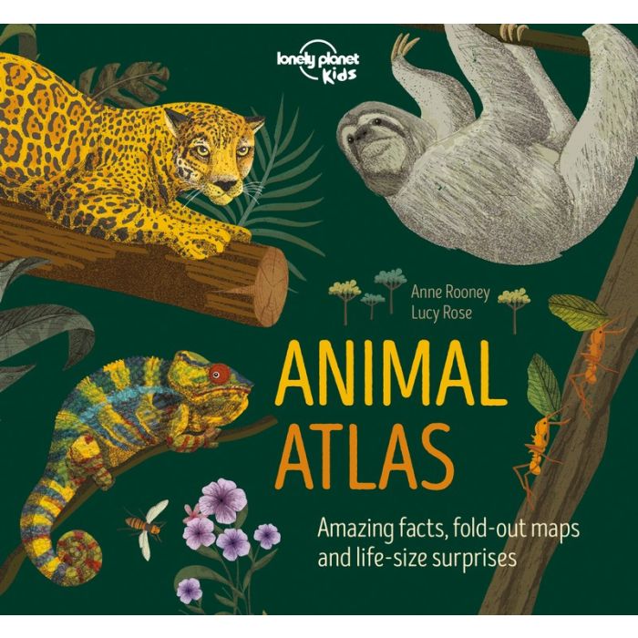 Animal Atlas main product photo