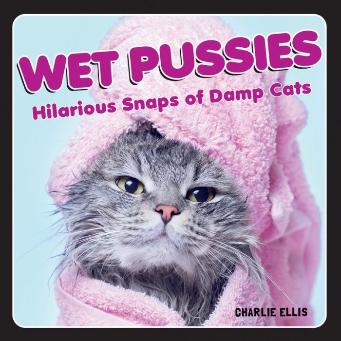Wet Pussies main product photo