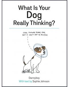 What Is Your Dog Really Thinking