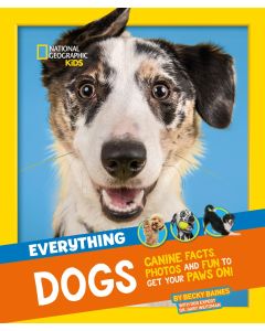 Everything Dogs